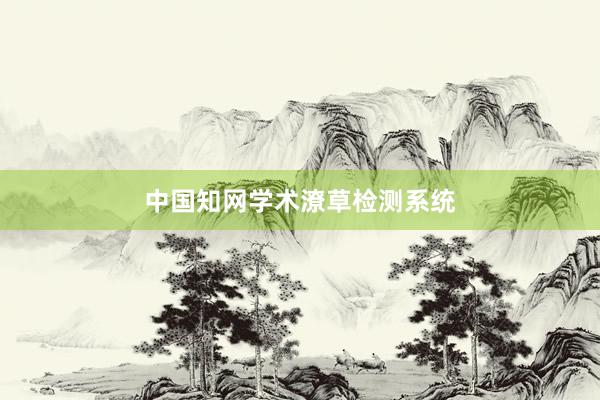 中国知网学术潦草检测系统